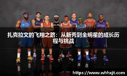 星空.综合体育官网
